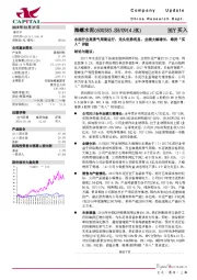 水泥行业高景气周期运行，龙头优势明显，业绩大幅增长，维持“买入”评级