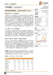 高性能服务器领跑者，未来成长空间进一步打开