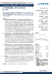 2017年年报点评:多元铸造稳健,国际业务起航