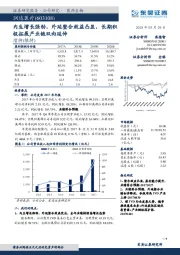 内生增长强劲，外延整合效益凸显，长期积极拓展产业链双向延伸