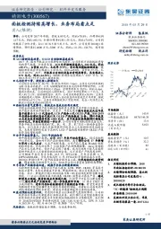 东面板检测持续高增长、业务布局看点足