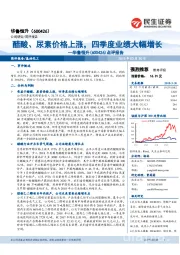 点评报告：醋酸、尿素价格上涨，四季度业绩大幅增长