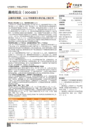 业绩符合预期，2018年将享受木浆价格上涨红利