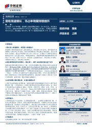 营收高速增长，市占率有望持续提升