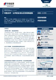 年报点评：公共安全龙头正在扬帆起航