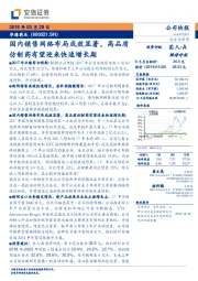 国内销售网络布局成效显著,高品质仿制药有望迎来快速增长期