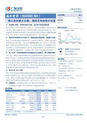 稀土涨价提升业绩，期待芒廷帕斯矿放量