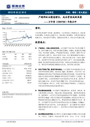 年报点评：产销两旺业绩高增长，成本管控成效显著