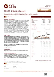 Domestic oil and LNG shipping offers safety margin