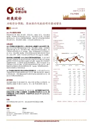 业绩符合预期，原油涨价及轻烃项目驱动增长