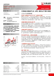 丙烯酸及酯拖累Q1业绩，维持全年增长预期