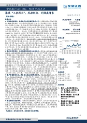 2017年报点评：聚焦“三农两小”，风控到位、利润高增长