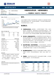 年报点评：双轮驱动初显成效，业绩维持稳增长