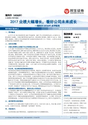 海利尔点评报告：2017业绩大幅增长，看好公司未来成长