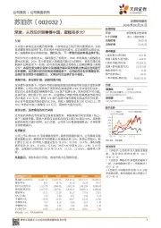 深度：从苏泊尔到赛博中国，蛋糕有多大？