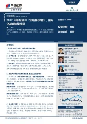 2017年年报点评:业绩稳步增长,国际化战略持续推进