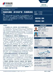 高成长新锐，多元化扩张，负债再优化