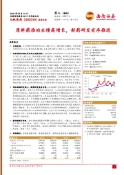 原料药推动业绩高增长，新药研发有序推进