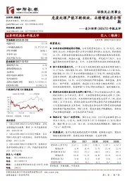 年报点评：危废处理产能不断投放，业绩增速符合预期