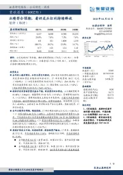 业绩符合预期,看好龙头红利持续释放