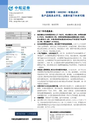 年报点评：各产品线多点开花，消费升级下未来可期