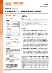 扣非净利增长55%，正极材料盈利能力持续提升