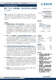 推行“6+1”品类战略，重点项目进入收获期