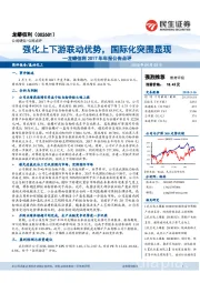 龙蟒佰利2017年年报公告点评:化上下游联动优势,国际化突围显现