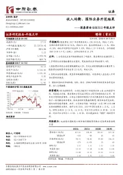 年报点评：收入均衡、国际业务开花结果