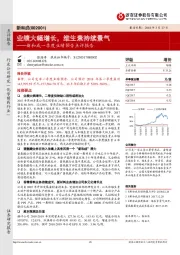 一季度业绩预告点评报告:业绩大幅增长,维生素持续景气