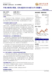 年报业绩符合预期，有机硅量价齐升助推18年业绩腾飞