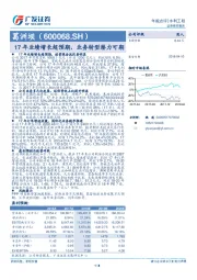 17年业绩增长超预期，业务转型潜力可期