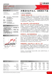 好赛道的金字龙头,持续增长可期