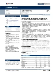 2017年年报点评：战略收缩聚焦数据湖，开创新模式