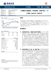 年报点评:工程服务平稳增长,布局锂钴,业绩可期
