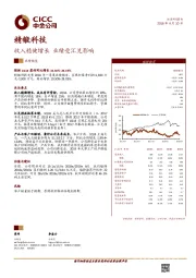 收入稳健增长 业绩受汇兑影响