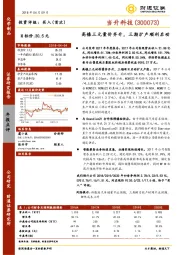 高镍三元量价齐升，三期扩产顺利启动