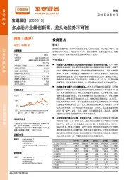 多点助力业绩创新高，龙头地位势不可挡