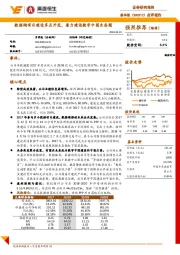 点评报告:数据湖项目建设多点开花,着力建设数字中国生态圈