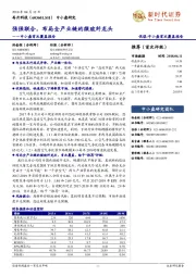 中小盘首次覆盖报告：强强联合，布局全产业链的微玻纤龙头