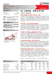 Q1大幅预增，持续兑现可期