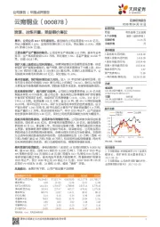 资源、冶炼并重，受益铜价高位