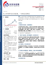 化工新材料龙头收获期, 一如既往高增长