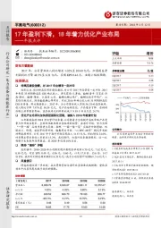 年报点评：17年盈利下滑，18年着力优化产业布局