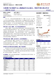 视觉中国公司点评：百度图片区块链平台上线提速行业正版化，视觉中国为其合作方