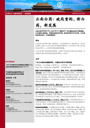 破局重构,新白药,新发展