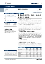 奢侈品牌运营唯一标的，打造品质消费产业集团