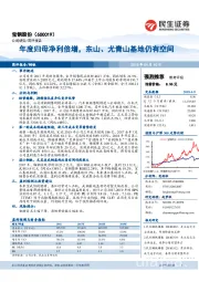 年度归母净利倍增，东山、尤青山基地仍有空间