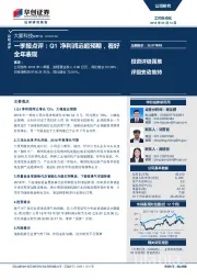 一季报点评：Q1净利润远超预期，看好全年表现
