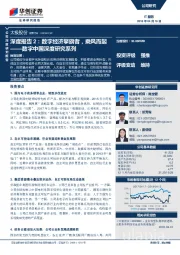 数字中国深度研究系列：深度报告2：数字经济擎旗者，乘风而起